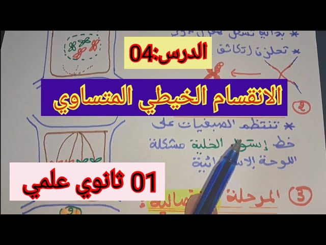 الدرس04: الانقسام الخيطي المتساوي/السنة الأولى ثانوي علمي 2023.