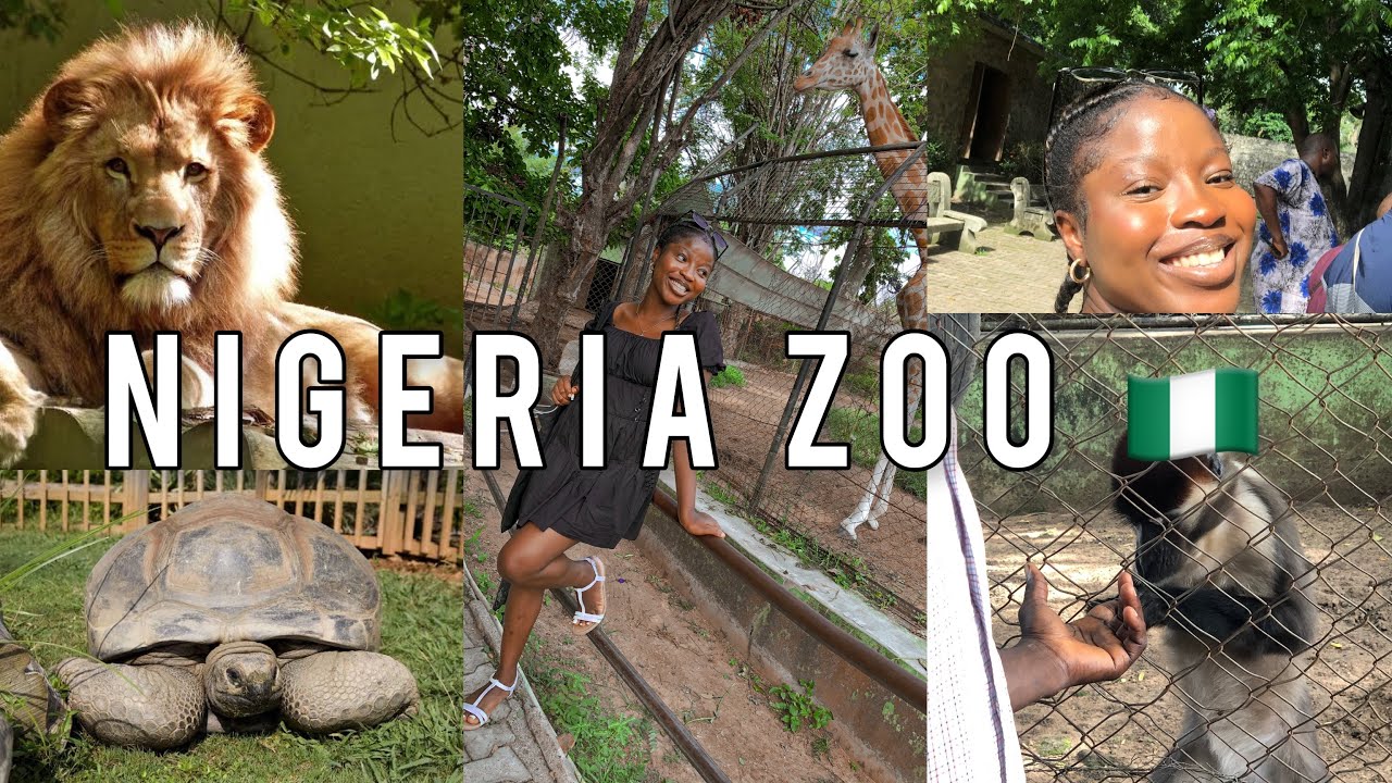 A VISIT TO A NIGERIA ZOO 