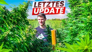 Ernte im Blütendschungel - Outdoor Topping Ergebnisse 2024
