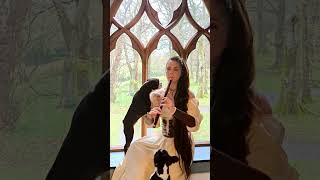 FILMING A TIN WHISTLE TUNE IN A 19TH CENTURY TOWER - WITH DOGS...