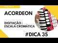 Curso de Acordeon : Digitação da Escala Cromática - CursosEDON