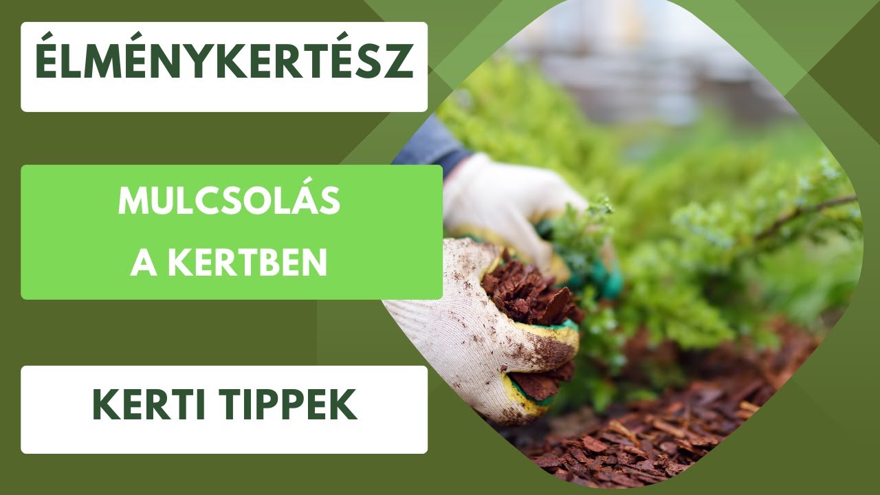 Mulcsolás a kertben🪵