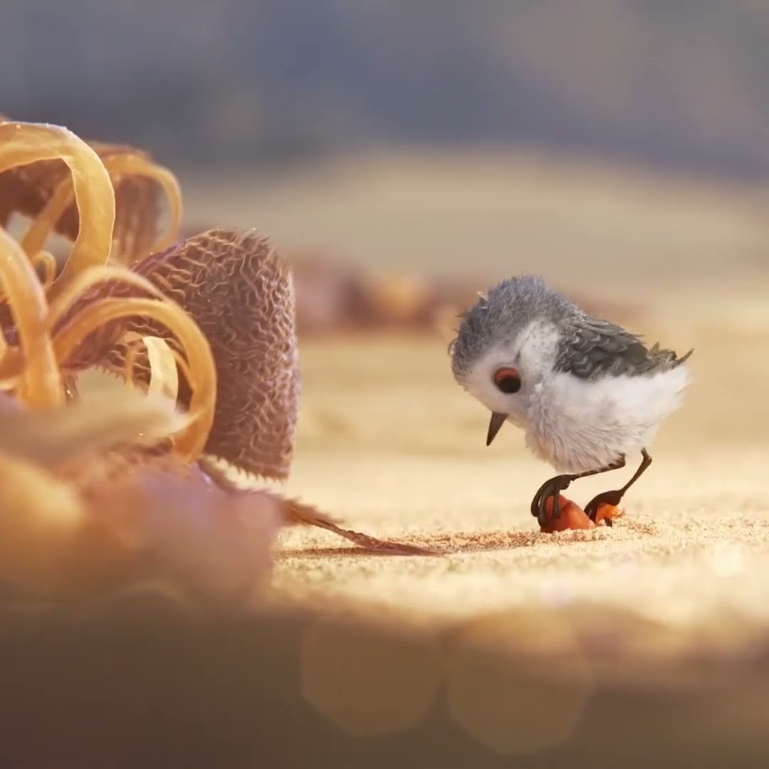 O PASSARINHO FOFO ESTÁ COM FOME #shorts #comedia #humor