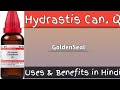 HYDRASTIS CAN Q.II शरीर के सारे पित् चर्बी को बाहर निकाले,एवं आपके पेट को स्वस्थ रखें ll#Homoeopath