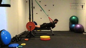 Assisted Nordic Curl