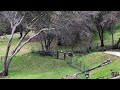 Beginning of video