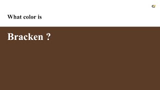 Bracken color #5b3d27 hex color - Brown color - Cool color 5b3d27