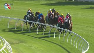 2025: The Year That Was in Racing