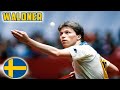 Jan Ove Waldner- A Table Tennis Legend (The Mozart) [HD]