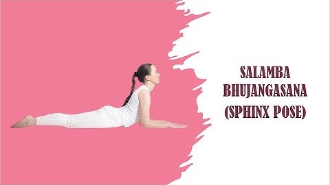 Beginners Yoga: How to do Salamba Bhujangasana | Sphinx Pose