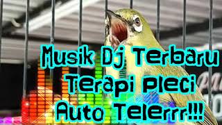 Plecimu bakalan telerrr denger musik DJ ini