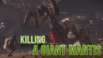 The Technomancer: Killing a Giant Mantis and becoming a Mancer
