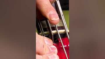 Bass Setup Secrets Revealed!