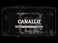 CANALLO - Sigratette & Girasoli