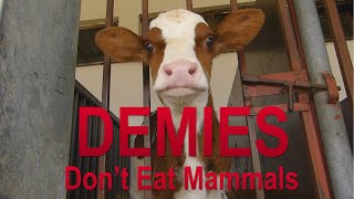 Demies Dont Eat Mammals