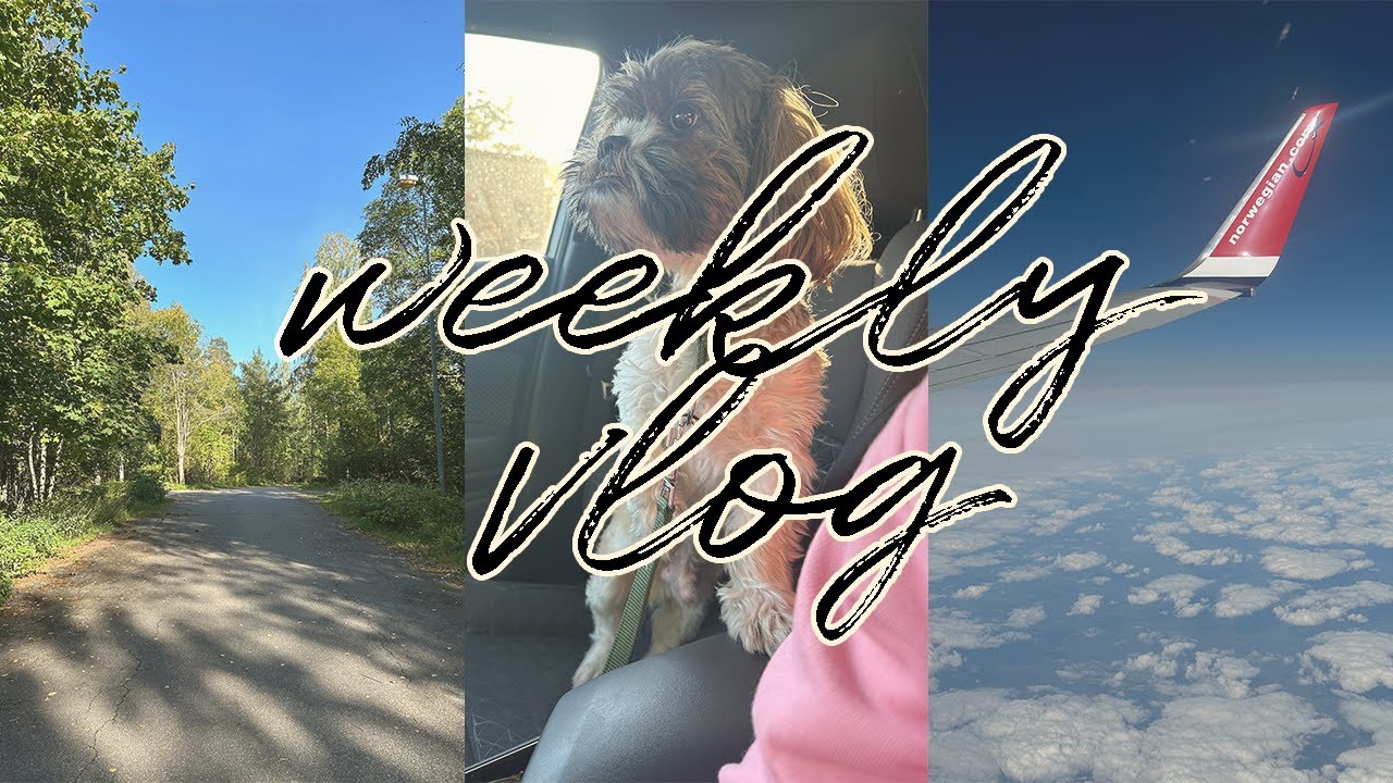 weekly-vlog-16-urlop-final-call-na-lotnisku-youtube