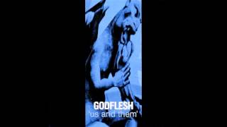 Watch Godflesh Control Freak video