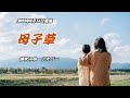 『母子草』津吹みゆ カラオケ 2023年6月14日発売