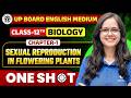 Sexual Reproduction in Flowering Plants | Class 12 Biology Chapter 1 English Medium | One shot