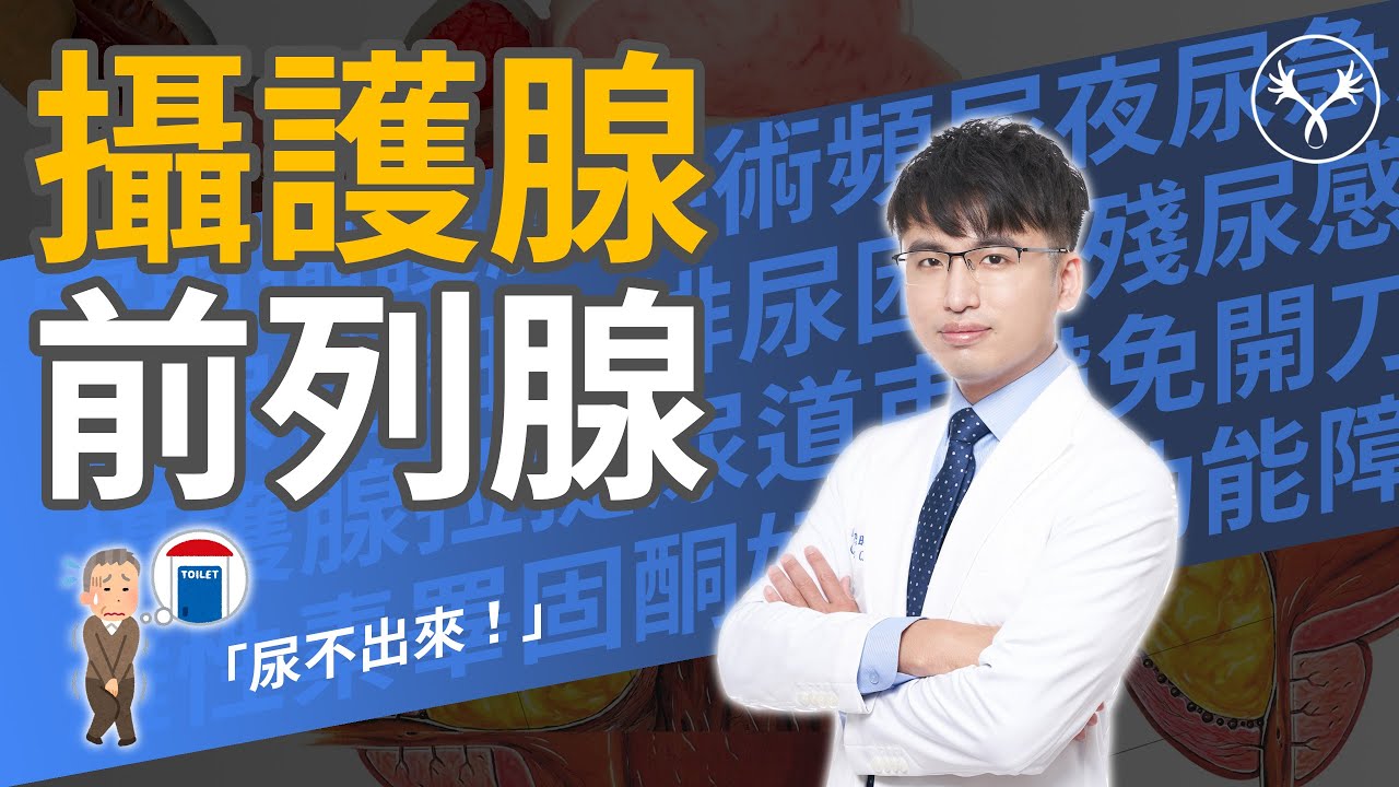 攝護腺肥大 症狀 原因 預防 Ipss評分表 前列腺 Prostate Hyperplasia Youtube
