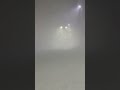 Почти получилось улететь 🦦🦦🦦