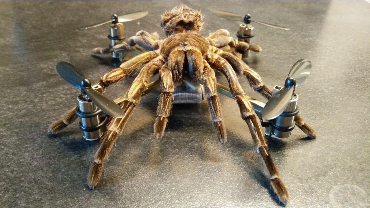 Tarantulacopter!
