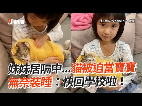 妹妹居隔中...貓主子被迫當寶寶無奈裝睡😹｜寵物動物｜貓咪