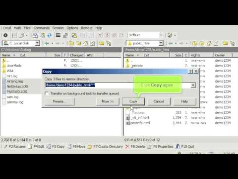 Uploading files using WinSCP