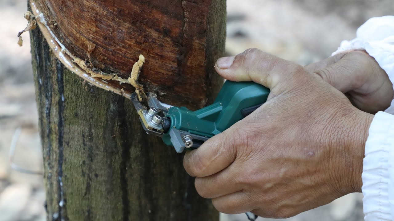 มีดกรีดยางไฟฟ้า Dextra นวัตกรรมใหม่ของการกรีดยางโดยพัมคิน