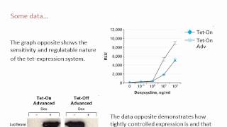Eukaryotic Expression Vectors and Epitope tagging