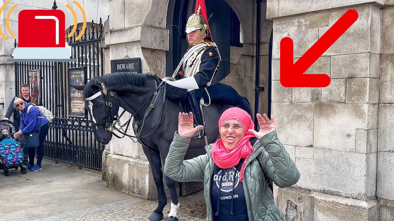 King's Guard Emergency Call🚨