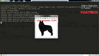 Object Detection in Pyhon Using OpenCV Deep Neural Network Module