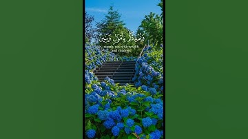 فقلت استغفروا ربكم |قرآن كريم 🌹💚 هدوء وراحة