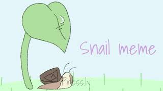 Snail meme