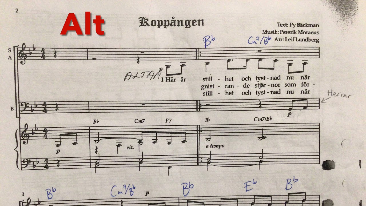 kopp-ngen-alt-youtube