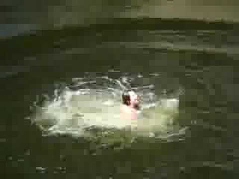 jumping a car Unknown Youth Jumps in PA 02