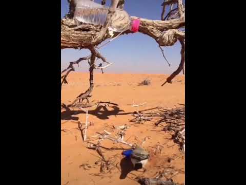 أفضلا الصدقة سقي الماء 2020