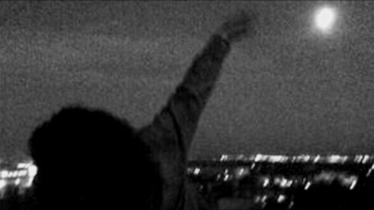 Lacewings - Happy Idiot (TV On The Radio)