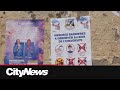 Ebola risk remains high in the DRC but low globally: WHO