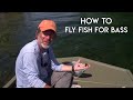 Bass on a Fly - Orvis Guide to Fly Fishing