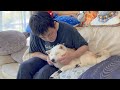 【期間限定動画】かけがえのない大切な柴犬と過ごす今の自分から5年後の自分へ。