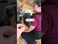 ultrasounds for rescue goats come back!