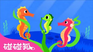 海馬 | 認識海洋動物 | 海洋動物兒歌 | 臺灣配音 | 鯊魚寶寶 兒歌 童謠 | Baby Shark l Kids Song l Nursery Rhymes | 碰碰狐 Pinkfong