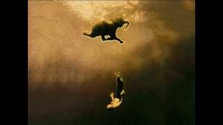 Bison BC - Stressed Elephant [Album Version]