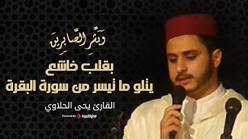 وَبَشِّرِ الصَّابِرِينَ | القارئ الشيخ يحيى الحلاوي يتلو بقلب خاشع ما تيسر من سورة البقرة