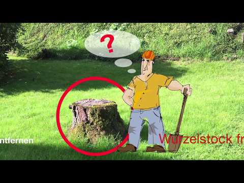 Video: Woraus besteht der spektrazide Stumpfentferner?