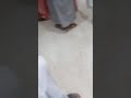 الشاعر والفنان الأستاذ ابورندا البطحاني حفله في دبي