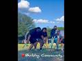Good medicine in Oak Cliff #ballgame #health #traditions #nativeamericanheritage #stickball