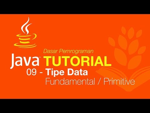 Video: Di mana tipe data primitif?