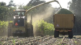 Mais hakselen bij Melkveebedrijf Bloemendal met New Holland, John Deere en Case IH - deel 2 (2019)